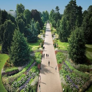 royal-botanic-gardens-kew-stroll-the-great-broad-walk (1)